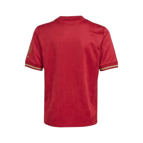 Bayern Munich 125th Anniversary Jersey