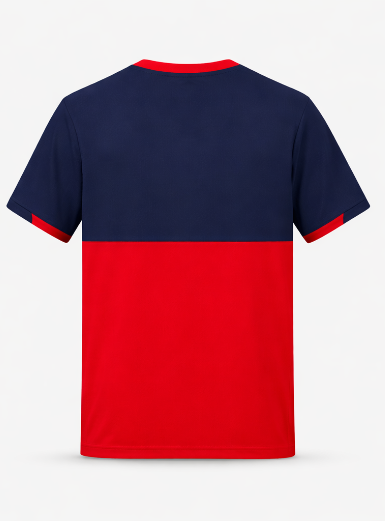 JerseyJunction Customized RCB Royal challengers Bangalore Practice jersey 2026 jersey V Neck