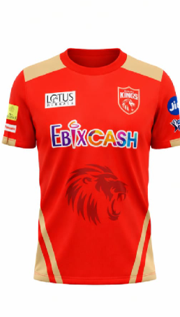 JerseyJunction customized Punjab Kings IPL Jersey 2024 round neck