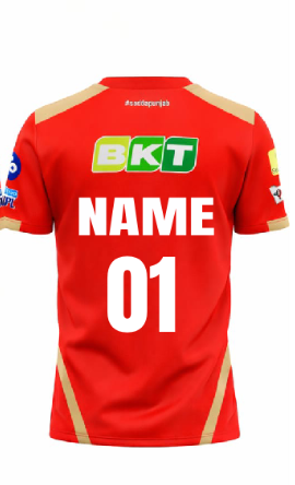 JerseyJunction customized Punjab Kings IPL Jersey 2024 round neck