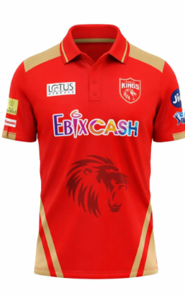 JerseyJunction Customized Punjab Kings IPL Jersey 2024