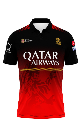 JerseyJunction Customized RCB GLENN MAXWELL  jersey