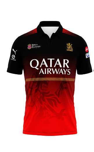 JerseyJunction Customized RCB Polo Neck AB DE VILLIERS  jersey