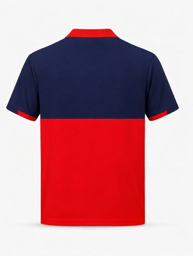 JerseyJunction Customized RCB Royal challengers Bangalore Practice jersey 2026 jersey Polo Neck
